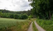 Trail On foot Beverungen - Weserhöhen-Wanderung 