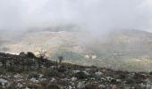 Excursión Senderismo Grasse - Le Mont Doublier depuis Grasse - Photo 3