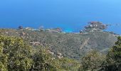 Trail Walking Saint-Raphaël - Cap Roux par l'Est depuis la gare du Trayas - Photo 12