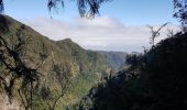 Tour Wandern Santana - Madère : Caldeirao Verde puis Caldeirao do Inferno - Photo 17