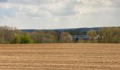 Tocht Stappen Huldenberg - Sint Agata Rode 16,5 km - Photo 15