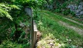 Tour Wandern Saint-Agnan-en-Vercors - Les Rancs de Charles - Vercors - La Coche - Photo 10