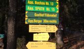 Trail On foot Gemeinde Scheffau am Wilden Kaiser - Auwaldrunde - Photo 2