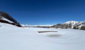 Trail Snowshoes La Croix-sur-Roudoule - Haute Mihubi  - Photo 6