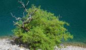 Tour Wandern Quinson - Quinson - Basses Gorges - Chapelle Ste Maxime - Baume des Pierres - Photo 6