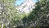 Tocht Stappen Die - Ausson - Montagne de Gavet (Diois) - Photo 3