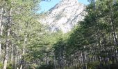 Randonnée Marche Die - Ausson - Montagne de Gavet (Diois) - Photo 3