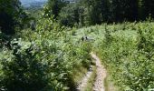Trail Walking Kelmis - 20200730 - Les 3 Bornes 7.3 Km - Photo 1