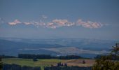 Tour Zu Fuß Wettingen - Lägeren Burghorn - Niederweningen - Photo 3