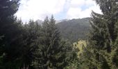 Trail Walking La Plagne-Tarentaise - Les Fours  - Photo 3