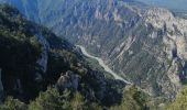 Trail Walking La Palud-sur-Verdon - col plein voir - Photo 11