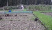 Tour Wandern Saint-Aubin-Celloville - 20211106-St Aubin Celloville - Photo 10
