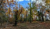 Tocht Stappen Puget-Ville - SityTrail - Terre blanche et tour du Faucon départ de Puget ville  - Photo 14