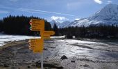 Tocht Te voet Gurtnellen - Arnisee - Gurtnellen - Photo 9