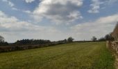 Trail Walking Jalhay - autour de Sart - Photo 3