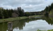 Excursión Paseo ecuestre Léglise - Assenois avec Clémence 1 - Photo 2