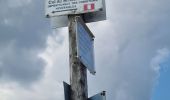 Trail Walking Stosswihr - Honeck depuis Gaschney - Photo 20