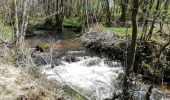 Trail Walking Sarran - Fred BC Sarran  - Photo 4