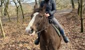 Trail Horseback riding Neufchâteau - Bois d’Ospot - Photo 7