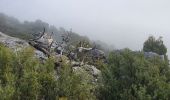 Tocht Stappen Fontaine-de-Vaucluse - Les Hauteurs de la Fontaine - Photo 7