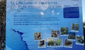Trail Walking Argelès-sur-Mer - 20200219 Argeles Collioure - Photo 3