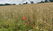 Tour Wandern Saint-Philbert-sur-Orne - La roche d'oëtre - Le cul du Rouvre - Photo 5