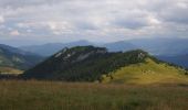 Tocht Te voet okres Ružomberok - Náučný chodník Čierny kameň - Photo 6