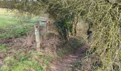 Tocht Stappen Anthisnes - Anthisnes 250225 - Photo 15