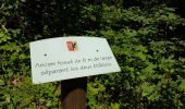 Tour Wandern Champagney - Grotte prisonniers allemands - château Etobon - Etobon - Photo 1