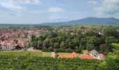 Tour Wandern Oberehnheim - 240628 - Obernai - VVF-Nordberg - Photo 4