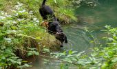 Randonnée A pied Bettembourg - Auto-Pédestre Abweiler - Photo 4