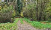 Tour Wandern Château-Thierry - Marche du 14/11/2023 - Photo 1