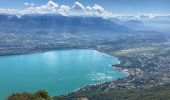 Tour Wandern La Chapelle-du-Mont-du-Chat - Dent du chat - Photo 1