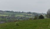 Tour Wandern Thimister-Clermont - 20220501 - TELEVIE La Minerie 9.9 Km - Photo 15