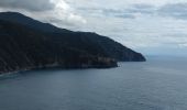 Trail Walking Riomaggiore - Riomaggiore to Vernazza  - Photo 10
