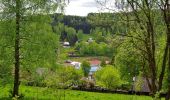 Percorso A piedi Bublava - [NS] Stopami horníků - Photo 4