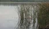 Tour Zu Fuß Krausnick-Groß Wasserburg - Wanderweg Krausnik-Groß Wasserburg-Köthen (grüner Balken) - Photo 9