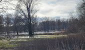 Tocht Stappen Sélestat - Sélestat : balade dans le Ried - Photo 2