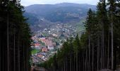 Percorso A piedi Hroznětín - [Ž] Oldřišský vrch - Oldříš - Pod Skálami - Photo 1