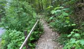 Tour Wandern Saint-Hubert - Awenne - Photo 10