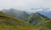 Trail Walking Taninges - le haut Fleury - Photo 10