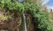 Excursión Senderismo Tsingoni - Cascade de soulou - Combani - Photo 2