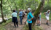 Trail Walking Rochefort - Han-sÃ»r-Lesse - Photo 3