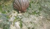 Tocht Stappen Valbonne - La Brague de Valbonne - Photo 5