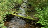 Randonnée Marche La Roche-en-Ardenne - Samree-maboge-Samree - Photo 2