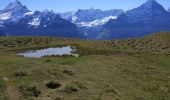 Tocht Stappen Grindelwald - Lacs de Bashsee - Photo 12