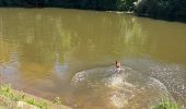 Trail Walking Josselin - Josselin Bretagne  - Photo 12