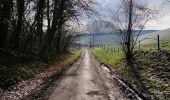 Trail Walking Anhée - La promenade des pelouses calcaires  - Photo 18