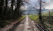 Tour Wandern Anhée - La promenade des pelouses calcaires  - Photo 18