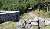 Randonnée Marche Murol - AUTOUR DU LAC CHAMBON  - Photo 16